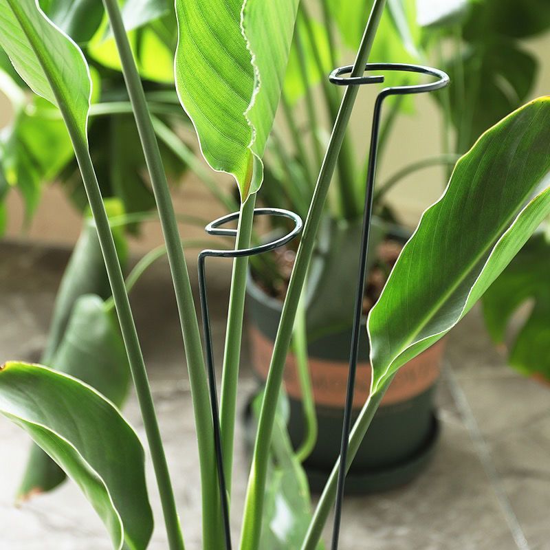 1/10 pçs suporte de jardim ane - Florist Supply Bulk avaliação e preço