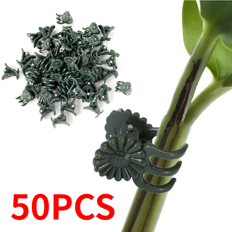 50 Peças de Clipes para Planta - Florist Supply Bulk avaliação e preço