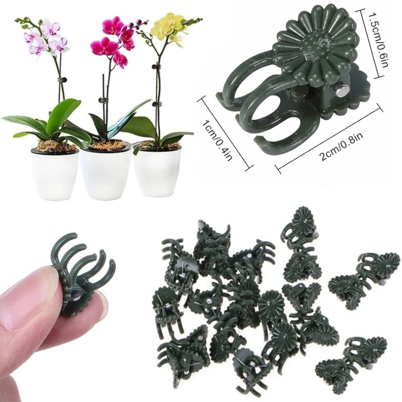 50 Peças de Clipes para Planta - Florist Supply Bulk avaliação e preço