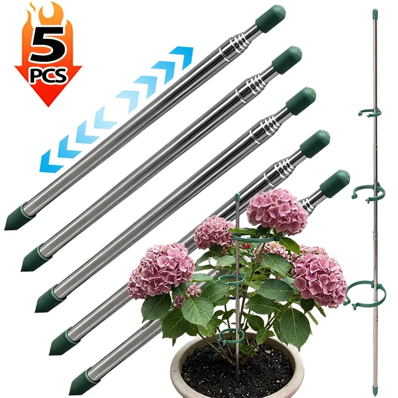 5/1 PEÇAS Anel de Suporte Retr - Florist Supply Bulk avaliação e preço