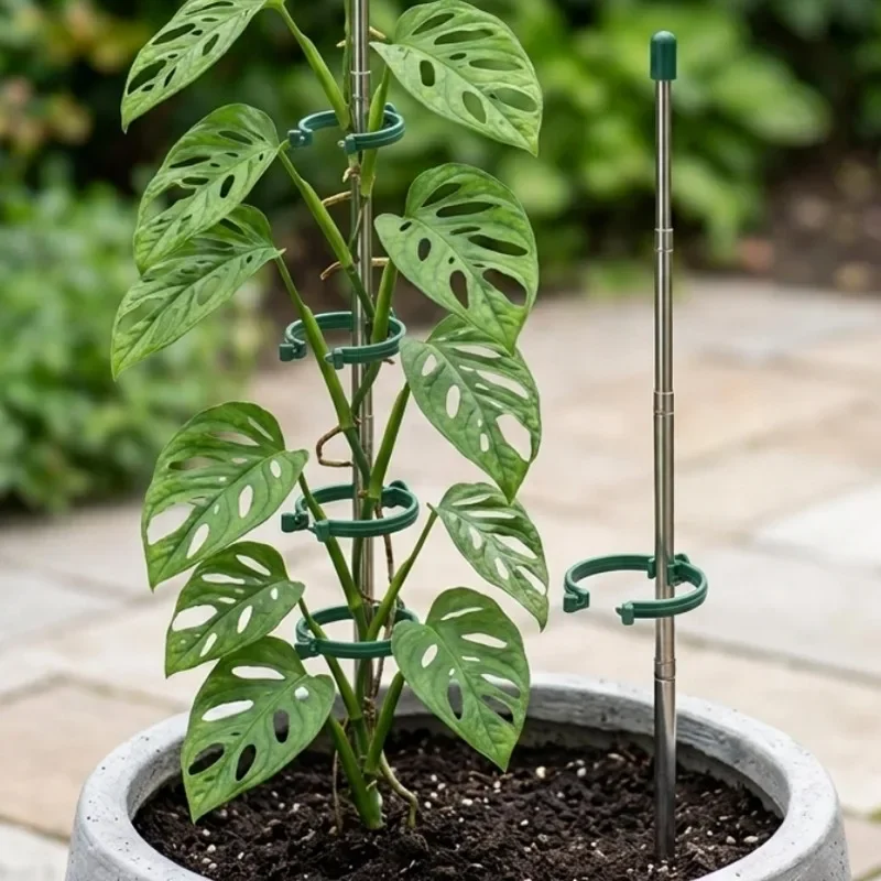 5/1 PEÇAS Anel de Suporte Retr - Florist Supply Bulk avaliação e preço