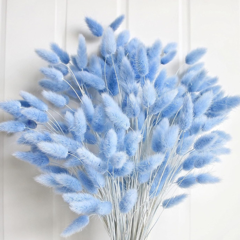 100 pçs azul lebre-cauda grama - Florist Supply Vases avaliação e preço